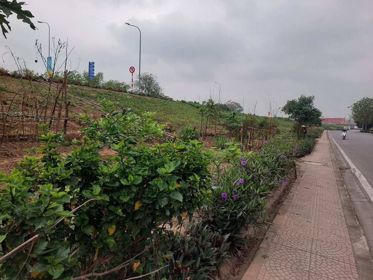 Bán Nhà Mặt phố Long Biên Hà Nội Kinh Doanh Đỉnh cao - Hình 5